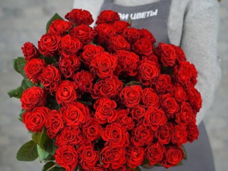 Эльторо 60см