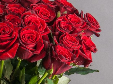 Гран При 60см