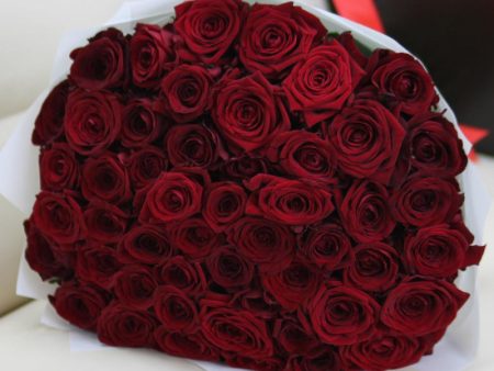 Красная роза 40- 50см