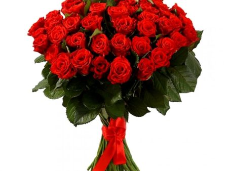 Эльторо 80см