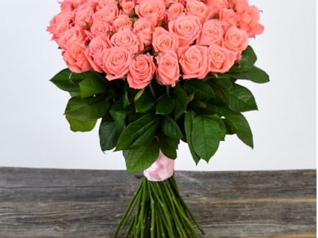 Карина 80-100см