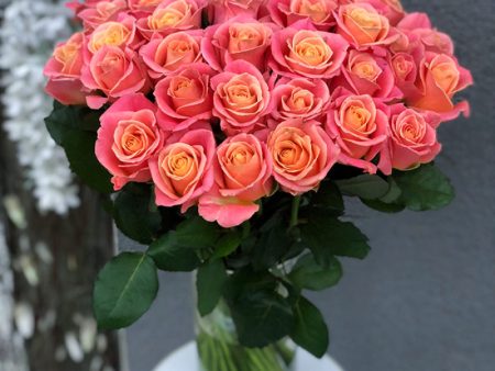 Мисс Пигги 60 см