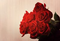 Розы